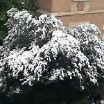 Affittacamere Soggiorno Iris *