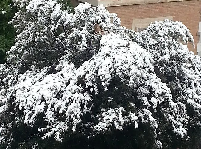 Πανσιόν Soggiorno Iris *